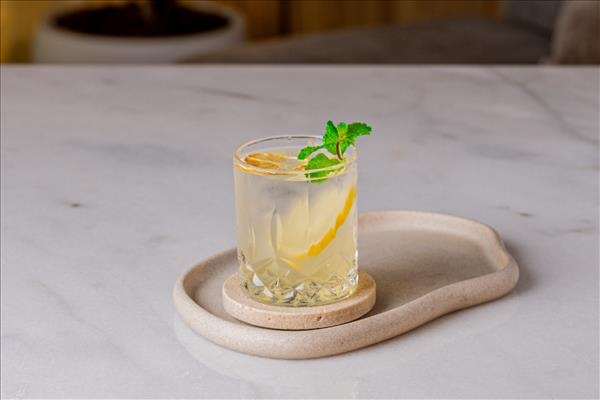Lemon Mint Juice
