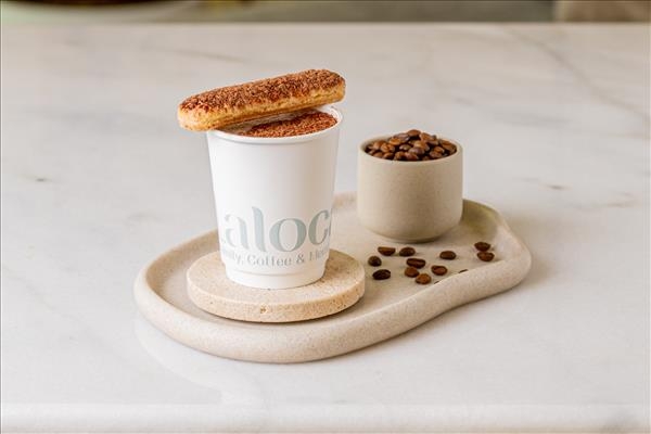 Iced Tiramisu